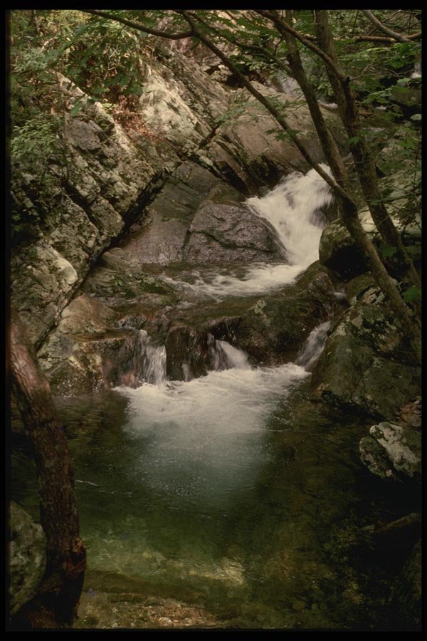 055046 Chollanam do Stream In Chogye san Park A4 Photo Print