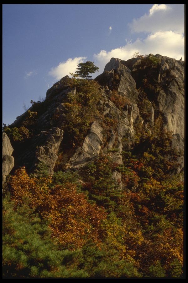 055050 Pukhansan N.P. Fall Scene A4 Photo Print
