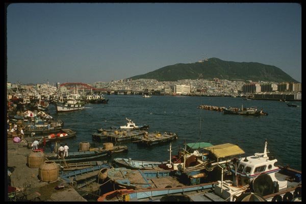 055055 Pusan Harbor A4 Photo Print