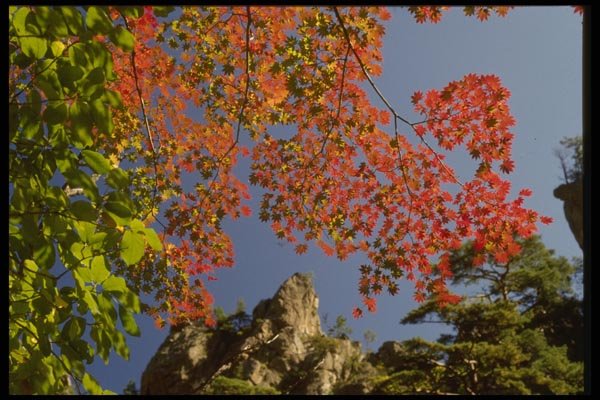 055061 Soraksan National Park A4 Photo Print