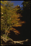 055063 Soraksan National Park A4 Photo Print