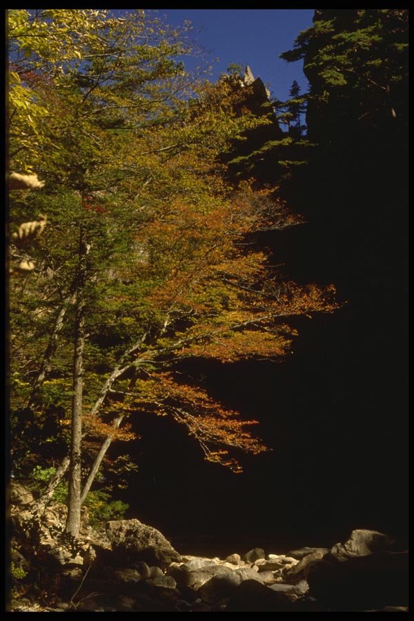 055063 Soraksan National Park A4 Photo Print