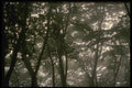 055069 Kyongju Misty Morning A4 Photo Print