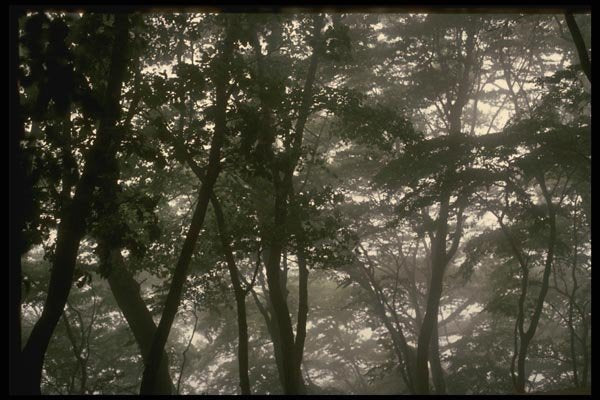 055069 Kyongju Misty Morning A4 Photo Print
