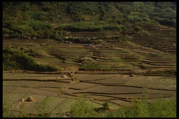 055082 Kyongsangnam Do Terraced Rice Paddies A4 Photo Print