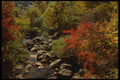 055084 Kyongsangnam Do Chonghak dong A4 Photo Print