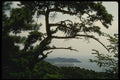 055089 Songmo Island A4 Photo Print