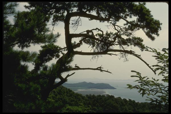 055089 Songmo Island A4 Photo Print
