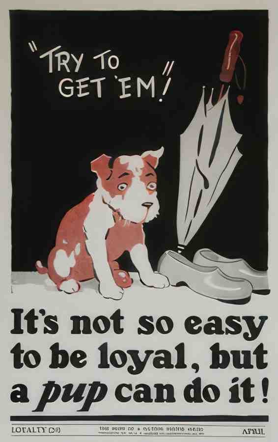 0554 Vintage Advert A4 Photo Print