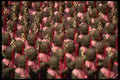 056034 Jisobutsus (baby Buddhas) Kamakura, Japan A4 Photo Print