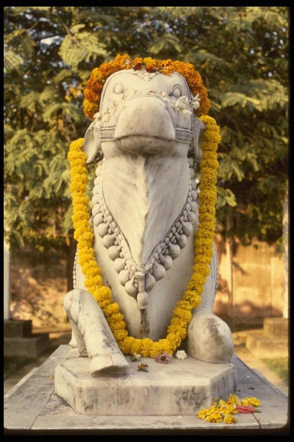 056044 Nandi, Fertility God, Vishwanath Temple Varandi, India A4 Photo Print