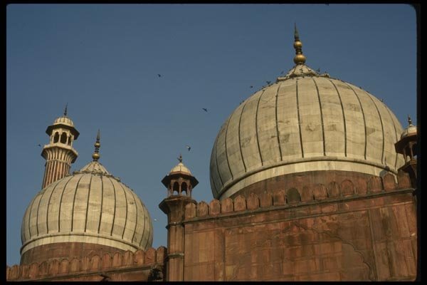 056054 Jami Masjid (Largest Mosque In India) Delhi, India A4 Photo Print