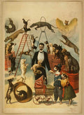 0560u Vintage Advert A4 Photo Print