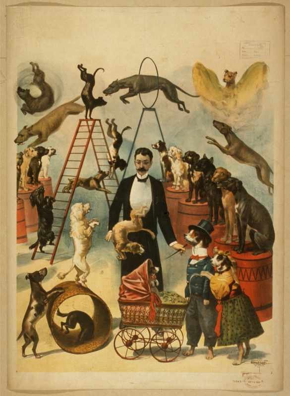 0560u Vintage Advert A4 Photo Print