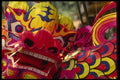 057042 Paper Mache Dragon For Dragon Dance, Chinese New Year A4 Photo Print
