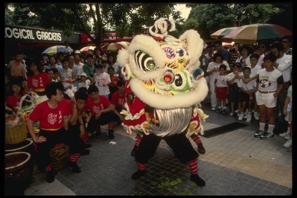057044 Dog Costume For Traditional Dragon Dance, Chinese New Year A4 Photo Print