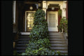 059078 The Doors Of Ivy A4 Photo Print