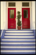 059084 Two For The Red, White And Blue A4 Photo Print