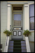 059092 A Fern Door A4 Photo Print