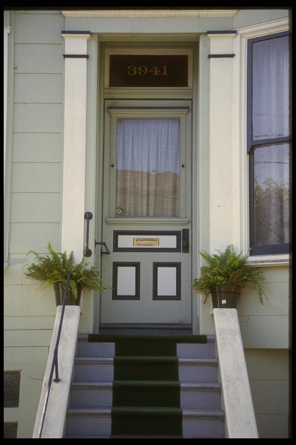059092 A Fern Door A4 Photo Print