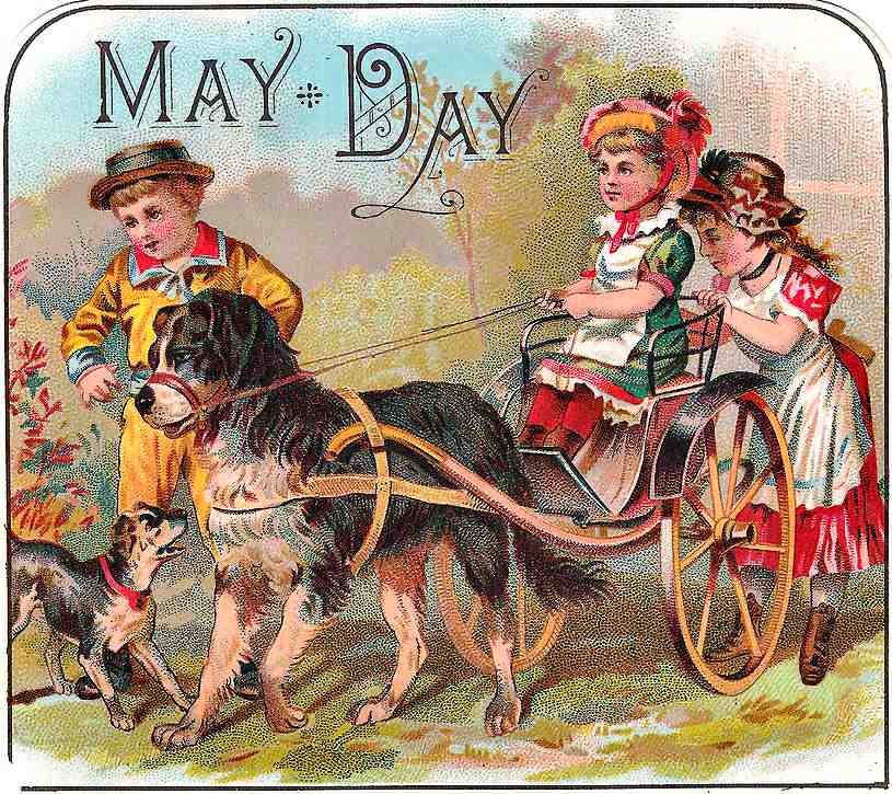 060 Dog Cart Vintage A4 Photo Print