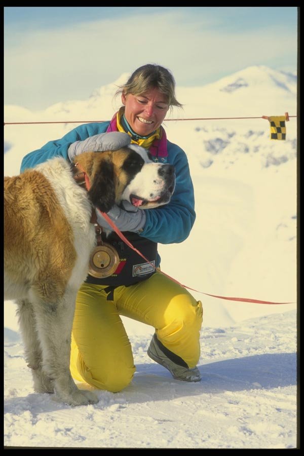 060034 St. Bernard With Smiling Female A4 Photo Print