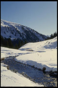 060058 High Altitude Alpine Spring A4 Photo Print