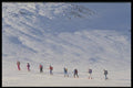 060075 Trekking On A Ski Safari A4 Photo Print