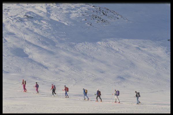 060075 Trekking On A Ski Safari A4 Photo Print