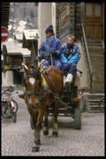 060084 Horse And Cart, Zermatt A4 Photo Print