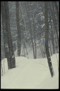 061005 Winter Solitude A4 Photo Print