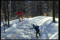 061008 Blazing Trails In The Park A4 Photo Print