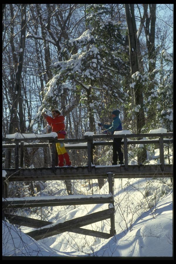 061009 Crossing A Bridge A4 Photo Print