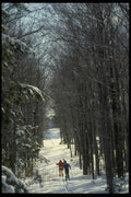 061012 Fresh Trails To Be Made A4 Photo Print