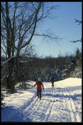 061013 Winter Highway A4 Photo Print
