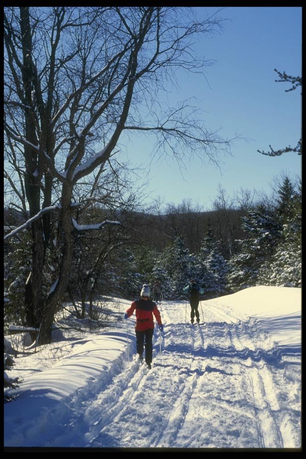 061013 Winter Highway A4 Photo Print