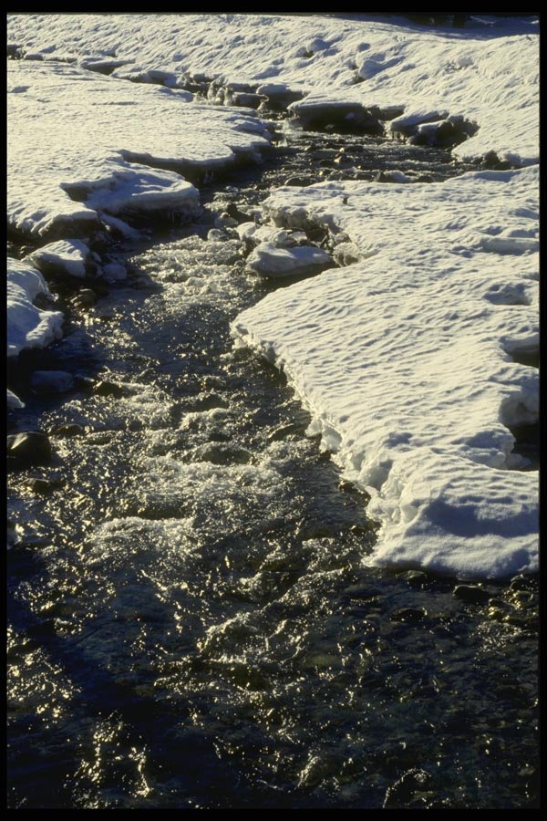 061027 Spring Waters A4 Photo Print