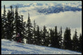 061032 Cruising The Mountain Trails A4 Photo Print
