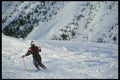 061033 Perfectly Groomed Snow A4 Photo Print