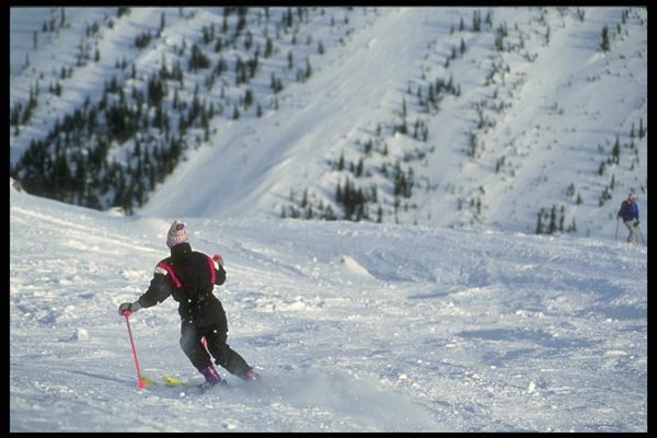 061033 Perfectly Groomed Snow A4 Photo Print