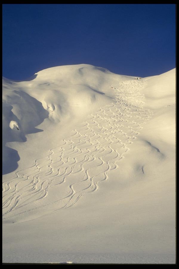 061046 Skiing Fresh Powder Caribou Mountains A4 Photo Print