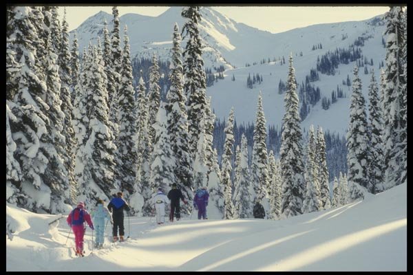 061050 Entrance Way To Tree Skiing A4 Photo Print