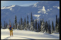 061051 Ski Guide Leading The Way A4 Photo Print