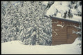 061076 Snow Country Canada Caribou Mountain A4 Photo Print