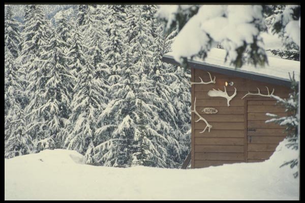 061076 Snow Country Canada Caribou Mountain A4 Photo Print