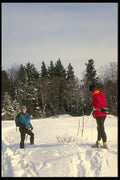 061079 Enjoying The Gatineau Park, Quebec A4 Photo Print