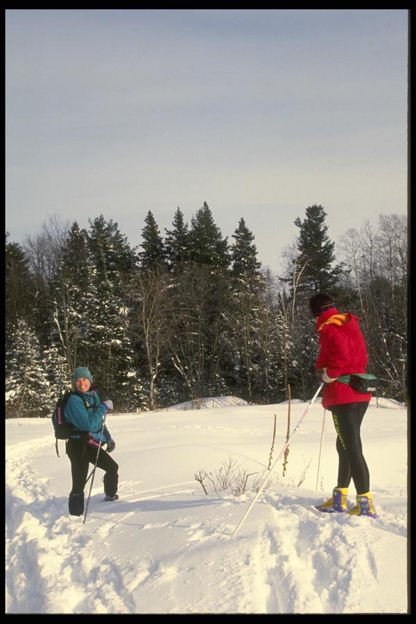 061079 Enjoying The Gatineau Park, Quebec A4 Photo Print