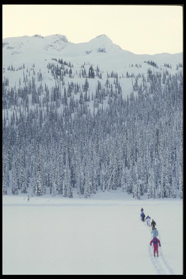 061083 Lake Crossing In The Caribou Mountains A4 Photo Print