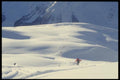 061085 Wide Open Spaces Following The Leader A4 Photo Print