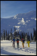 061090 Enjoying The View, Caribou Mountains, British Columbia A4 Photo Print